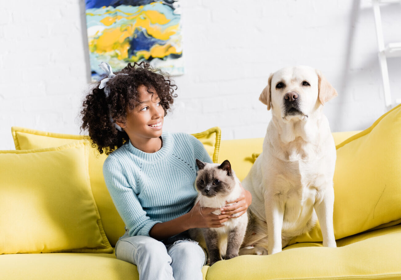 Cheerful girl with headband embracing siamese cat and looking at retriever sitting on yellow sofa,